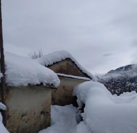 ब्रेक्ईकीङ  न्युज : बाजुरामा हिउँपहिराेमा परि ९ बाख्रा मरे १४ ब्यपत्ता