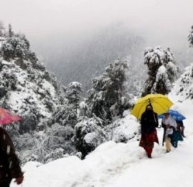 हिमपहिरोमा परि ७७ जनाकाे मृत्यु