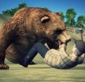 भालुकाे आकम्रणबाट बुढिगंगाका दिपक शाह घाईते