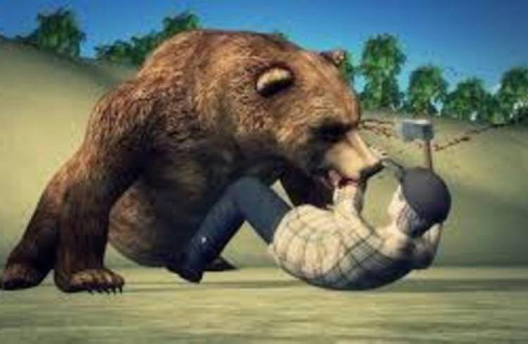 भालुकाे आकम्रणबाट बुढिगंगाका दिपक शाह घाईते