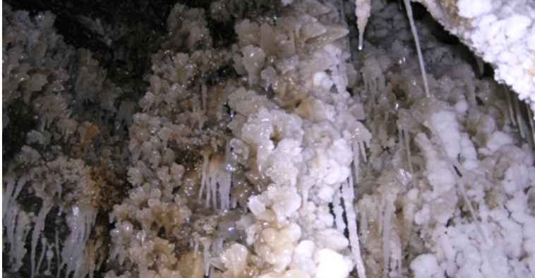 सिन्धुपाल्चोकको जंगली भीरको भित्तामा भेटियो नुनखानी