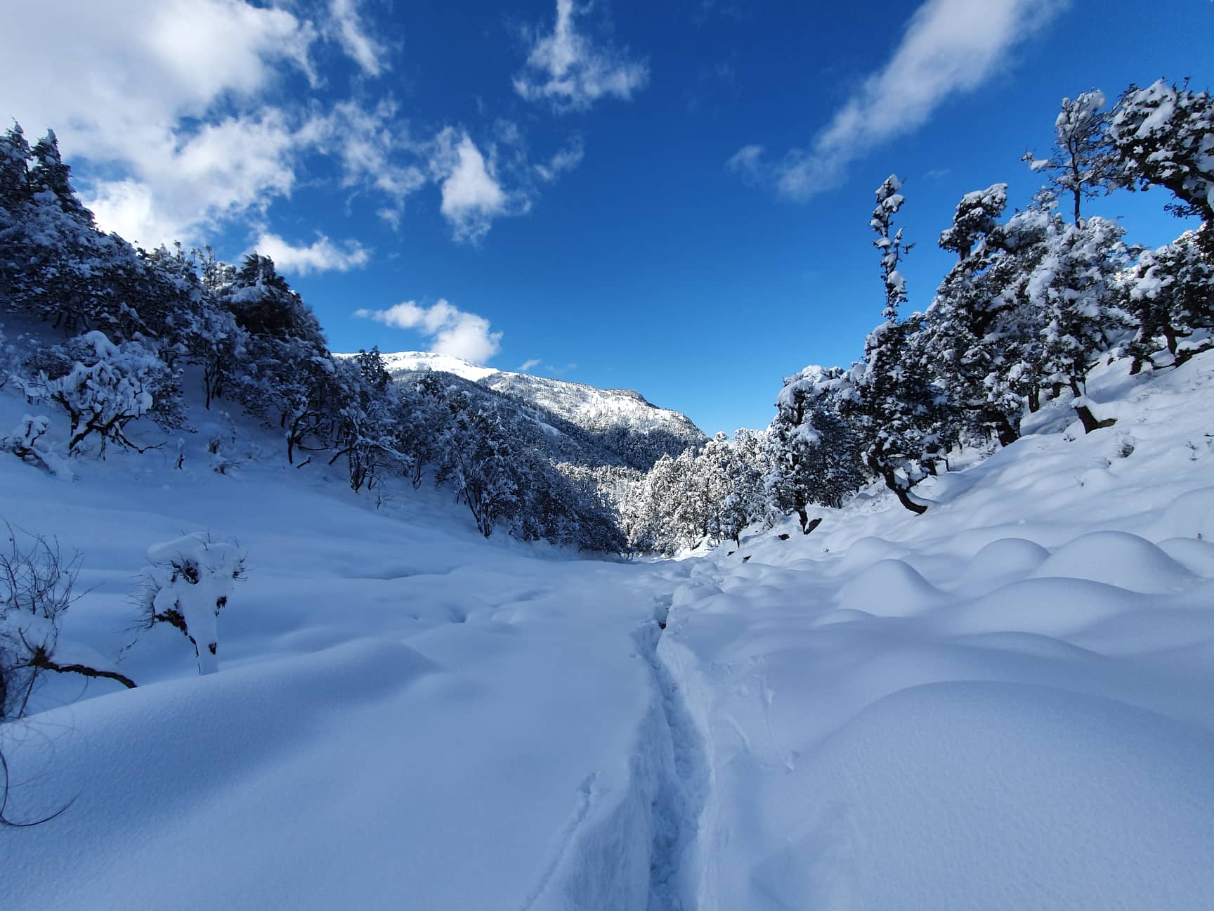 अाहा : हिउँमा पाेरखे लेखेका शुन्दर तस्बिर (फाेटाे फिचर)
