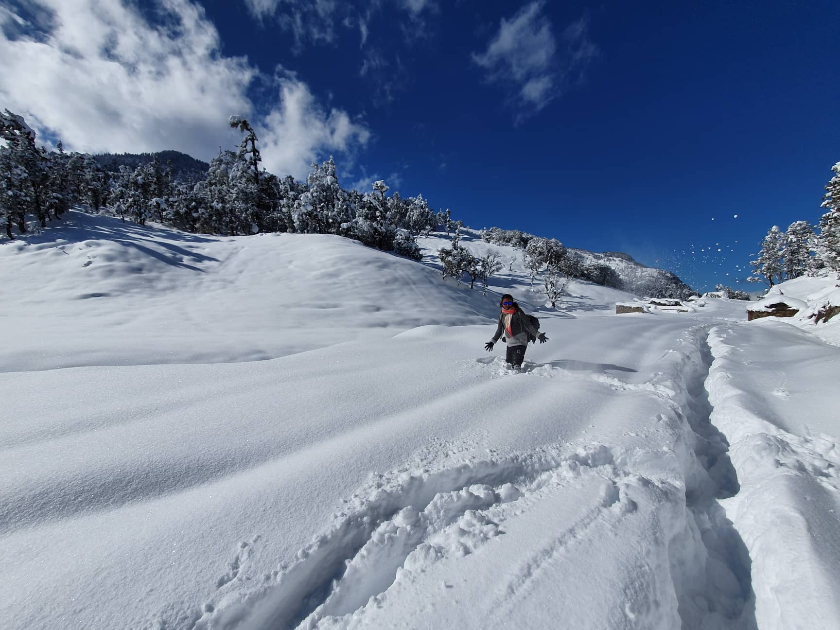 मार्तडी कोल्टी सडक खोल्न स्थानियको माग