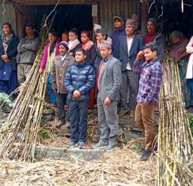साँफे मार्तडी सडक खण्डमा उखु खेति अभियानकाे पहिलाे चरण सम्पन्न 