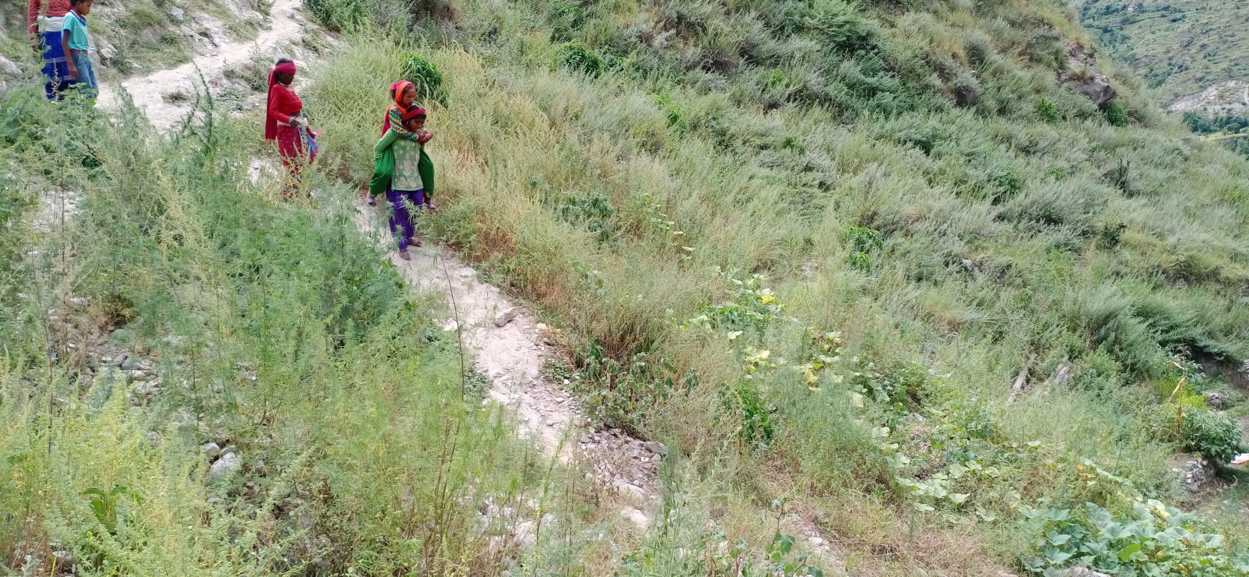 काेल्टिमा रायोको साग र रोटी खादा १० जना विरामी,  १ जना बेहोस