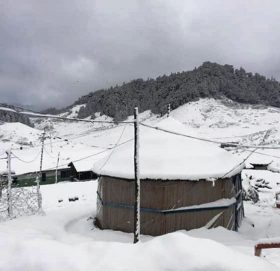 लगातारको हिमपातले संरक्षित बन्यजन्तु संकटमा