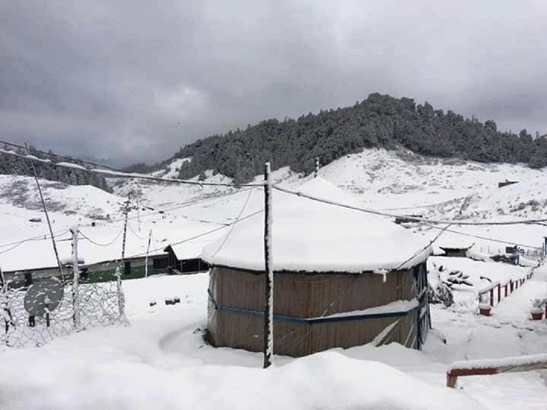 लगातारको हिमपातले संरक्षित बन्यजन्तु संकटमा