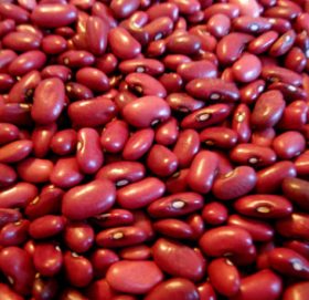 बाजुराको अर्गानीक सिमि देशका बिभिन्न शहरमा लगिदै ।