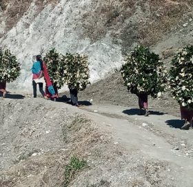 ग्रामिण महिलाकाे पिडा : बिहान ६ बजे हिडेर दिउँसाे २ बजे  घर पुग्छन् (फाेटाे फिचर)