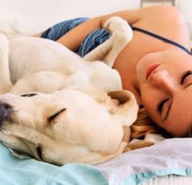 दुई वर्षको बच्चालाई बालुवामा गाडेर दम्पत्तिले रोमान्स गरेपछि…