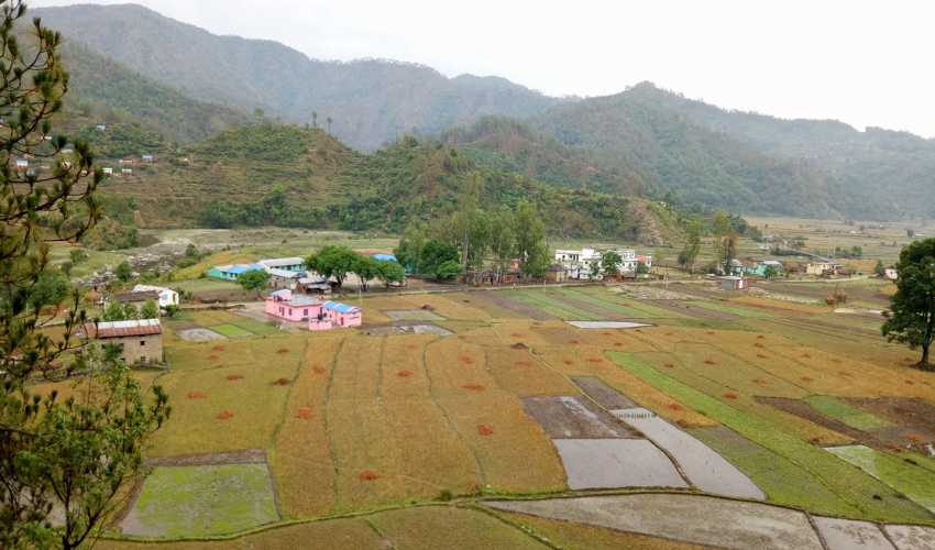 डोटीमा ज्वरो र रुघाखोकीबाट ३२ विद्यार्थी प्रभावित