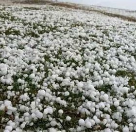 बाजुराकाे तल्लाे क्षेत्रमा असिनाले अन्नबाली नष्ट