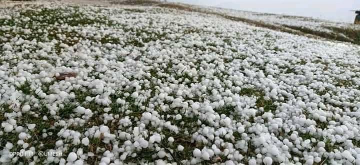 बाजुराकाे तल्लाे क्षेत्रमा असिनाले अन्नबाली नष्ट