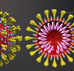 कोरोना भाइरसबाट संक्रमित भएको भन्दै, श्रीमतीलाई बाथरुममा थुनिदिए