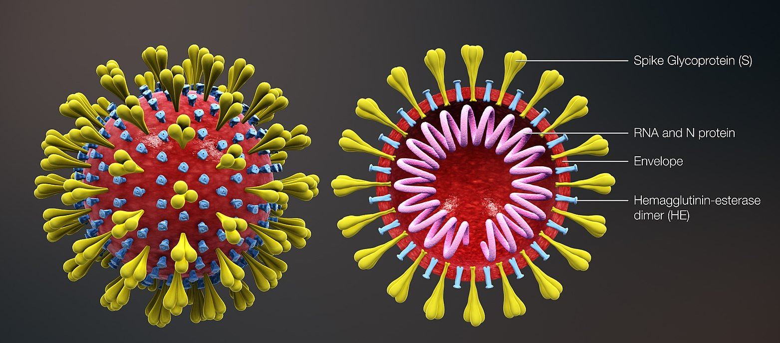 बाँकेका २९ कोरोना संक्रमित उपचारपछि डिस्चार्ज