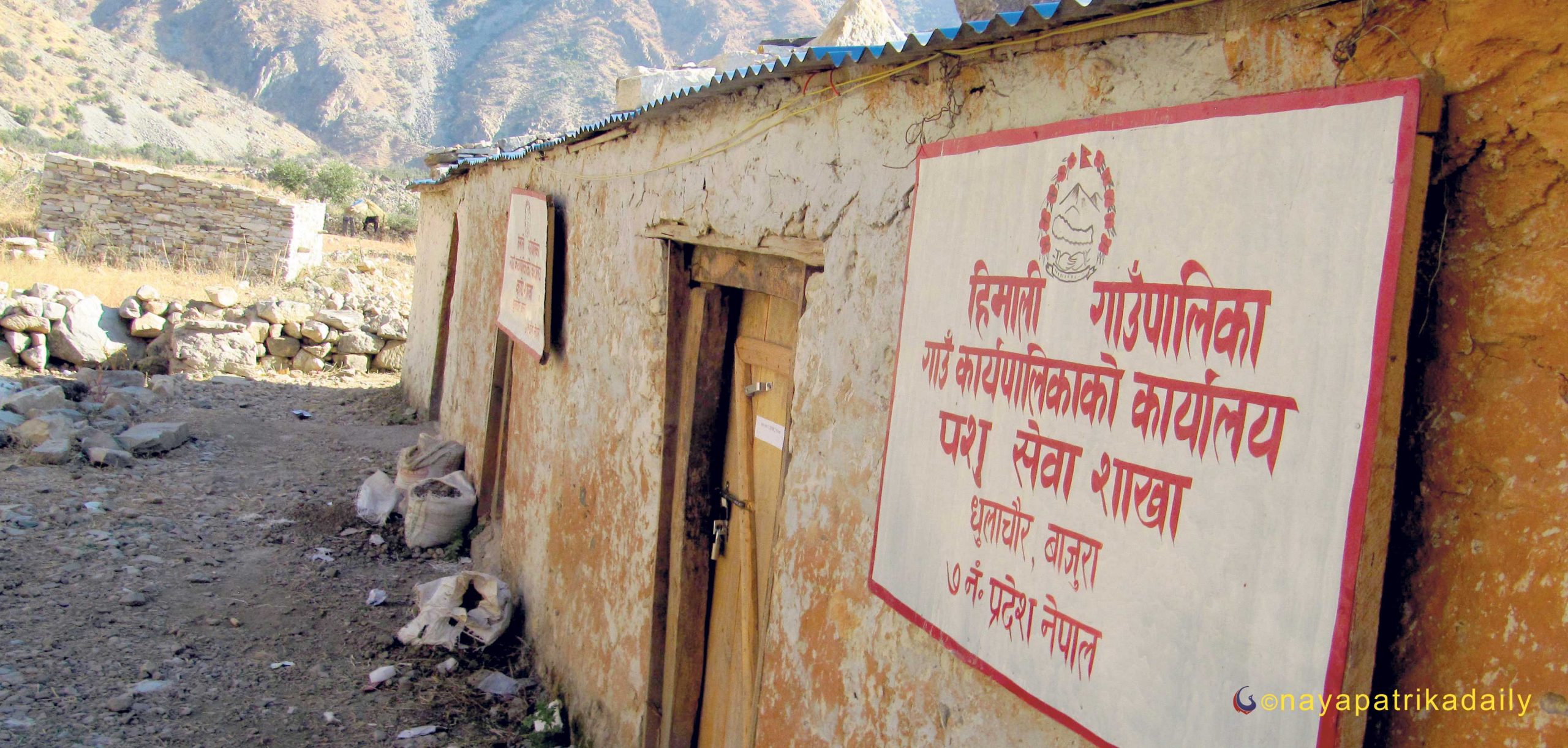 कोराना भाईरसलाई लक्षित गरि हिमाली गाउँपालिकाले स्वास्थ्यकर्मीकाे व्यवस्था