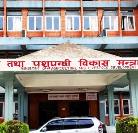 कृषि मन्त्रालयका दुई उपसचिवसहित १३ अधिकृत बेपत्ता