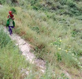 स्वामीकार्तिक गाँउपालिकामा २ बच्चा मृत्युको कारण यस्तो छ !