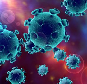 ब्रेक्इङ न्युज : ३१औं कोरोना संक्रमित विराटनगरका