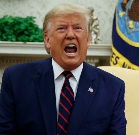 ट्रम्पले बोलाए मस्कसहितको पहिलो मन्त्रिपरिषद बैठक