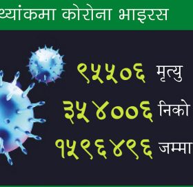 कोरोना अपडेट : मृतकको संख्या ९५ हजारभन्दा बढी, के छ सार्क राष्ट्रको अवस्था ?