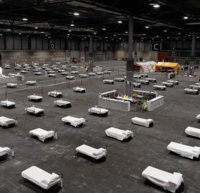 फ्रान्समा पहिलो पटक एकैदिन ४९९ को मृत्यु