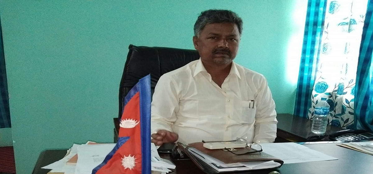 कुहिएको चामल बितरण गर्ने मेयर पक्राउ