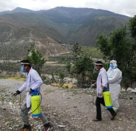 टोलटोलमा किटनासक छार्किदै हिमाली गाउँपालिका