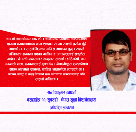 साइनो कविताकै लघुत्तम विधा : एउटा आलेख