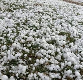 बाजुरा बडीमालिका नगरपालिका ७ मा हिउँदेबाली  सखाप पार्याे असिना पानीले