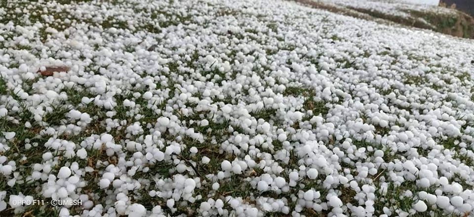 बाजुरा बडीमालिका नगरपालिका ७ मा हिउँदेबाली  सखाप पार्याे असिना पानीले