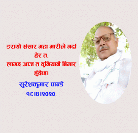 संसार भरी आज हाहा कार हुँदैछ(गजल)