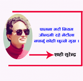 पाँच साइनो