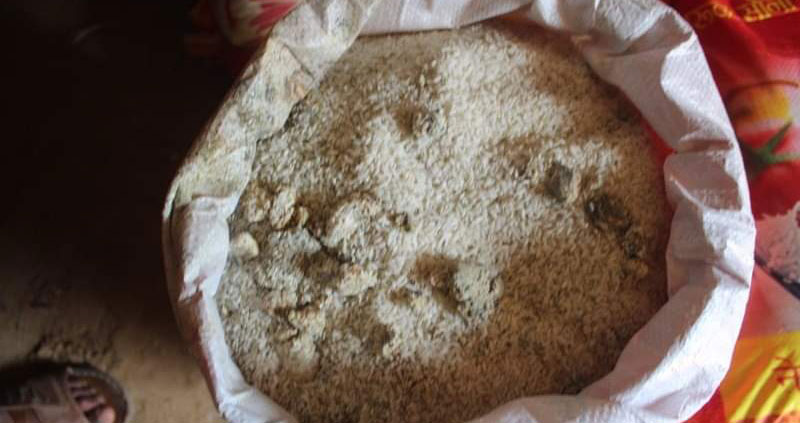 राहतको नाममा कुहिएको चामल !