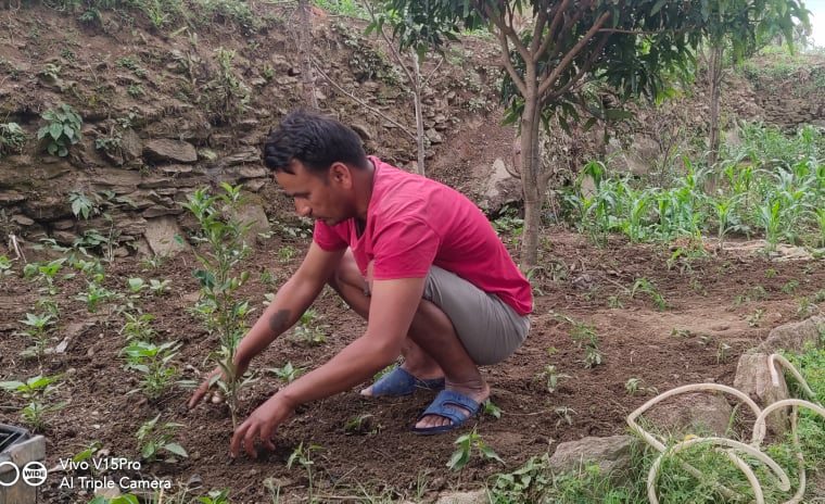 सामुदायिक वन उपभोक्ता महासंघका पदाधिकारी विरुवा रोपेर रजत बर्ष मनाउदै