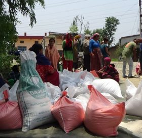 धनगढीका ४ वटा वडामा मात्र ९ लाखको १३५१ कठ्ठा कुहिएको चामल भेटियो
