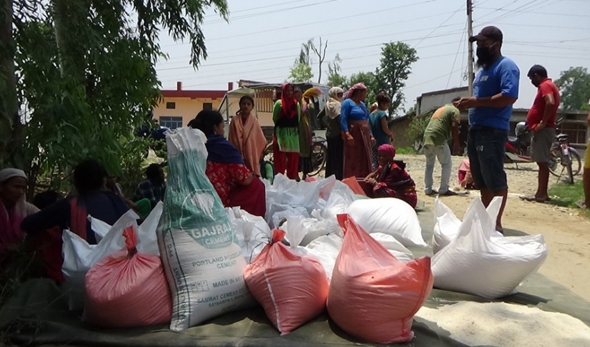 धनगढीका ४ वटा वडामा मात्र ९ लाखको १३५१ कठ्ठा कुहिएको चामल भेटियो