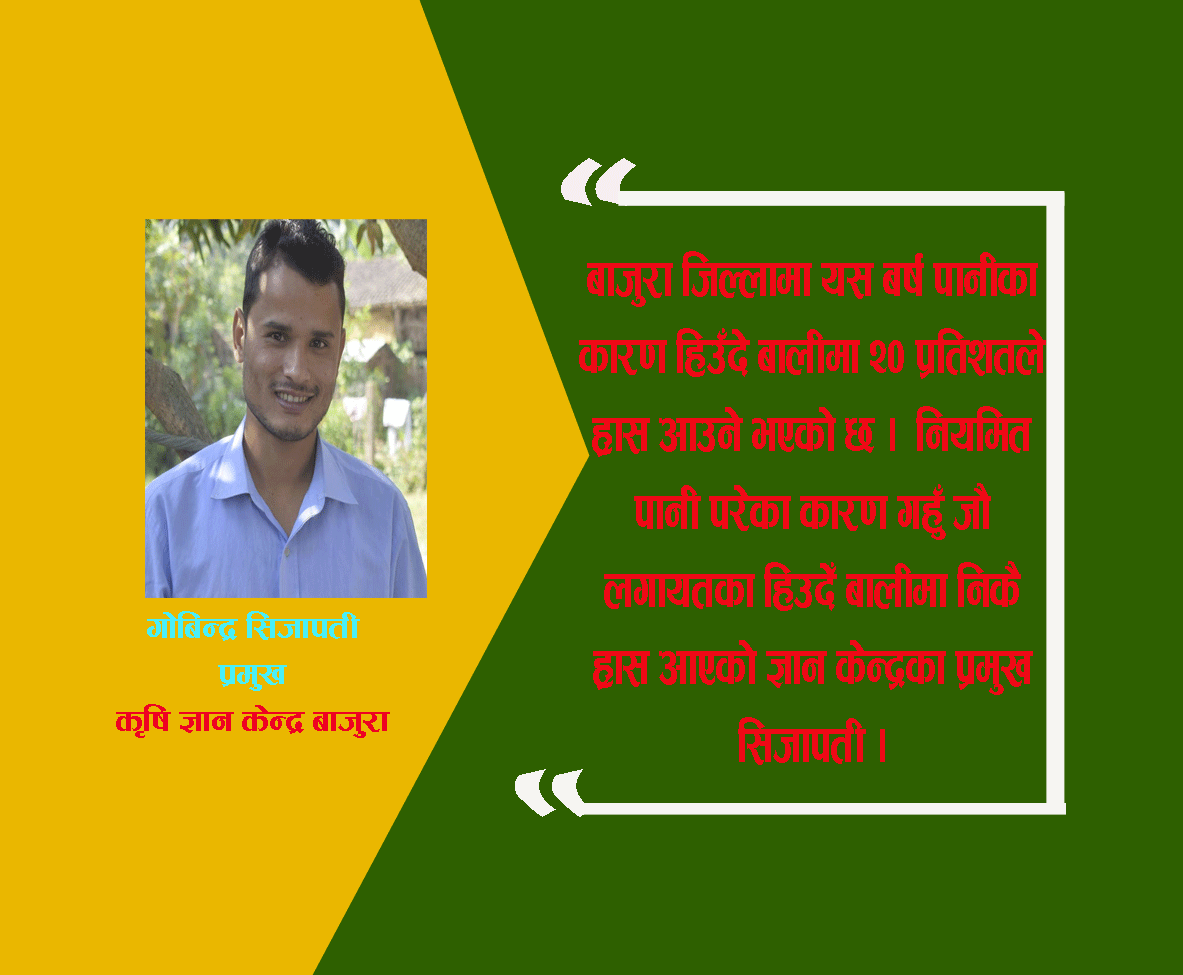 निरन्तर झरीका कारण हिउदेँ बालीमा २० प्रतिशत ह्रास हुन्छ : सिजापती (भिडीयाे सहित)