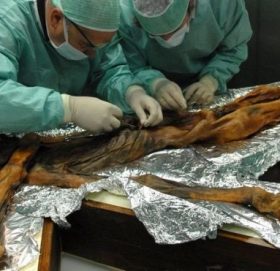 पाँच हजार वर्षअघि हिममानवले के खान्थे?