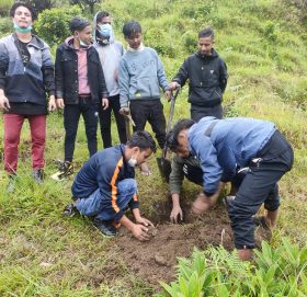 बाजुराका युवाले बृक्षारोपण गरेर मनाए बिश्व वातारण दिवस