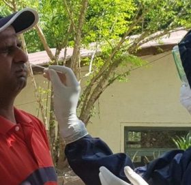 कोरोना भाइरस नेपाल: वुहानभन्दा धेरै दिन लकडाउन तर नेपालमा किन हुन सकेन सङ्क्रमण नियन्त्रण