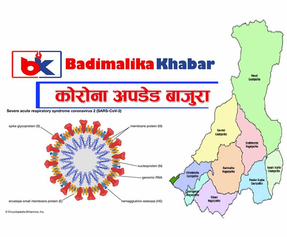 बाजुरामा पछिल्लो २४ घण्टामा ८ जना संक्रमित थपिए, संक्रमितको सख्या ३७० पुग्यो
