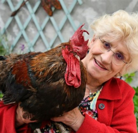 सहर र गाउँबीच झगडा पार्ने भाले अब रहेन