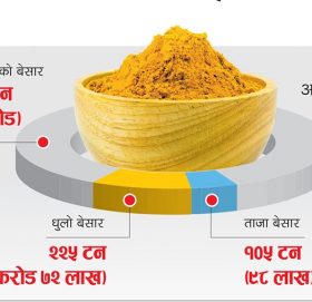 बेसारमै हामी परनिर्भर