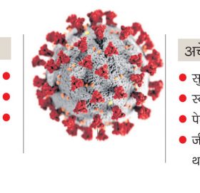 भारतमा ८ हजार ६६३ जना संक्रमित थपिए