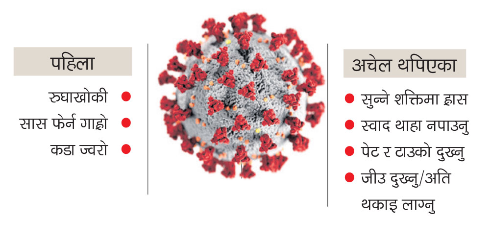 भारतमा ८ हजार ६६३ जना संक्रमित थपिए