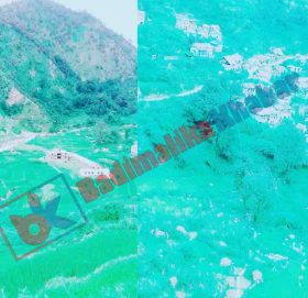 असार १५ कै दिन बडिमालिका वडा  न ७ मा रोपीसकेको खेत बगायो