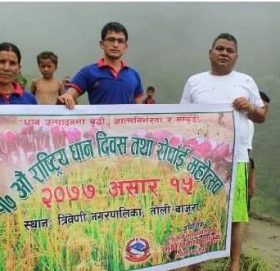 त्रिवेणीमा पनि १७ औं राष्ट्रिय धान दिवस भव्यताका साथ मनायो