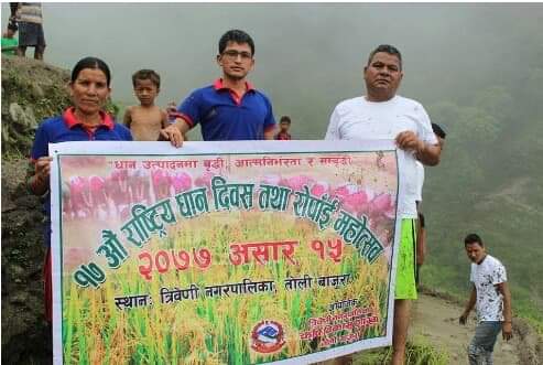 त्रिवेणीमा पनि १७ औं राष्ट्रिय धान दिवस भव्यताका साथ मनायो