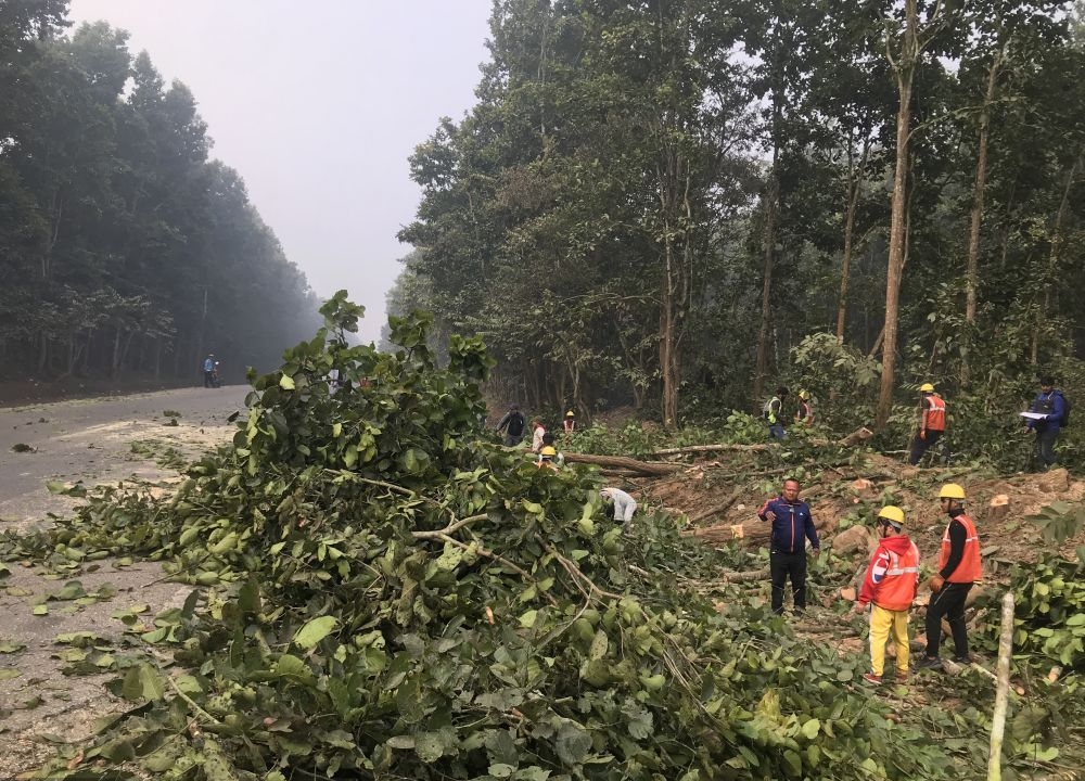 देशभरको वन फँडानीबारे छानबिन हुँदै